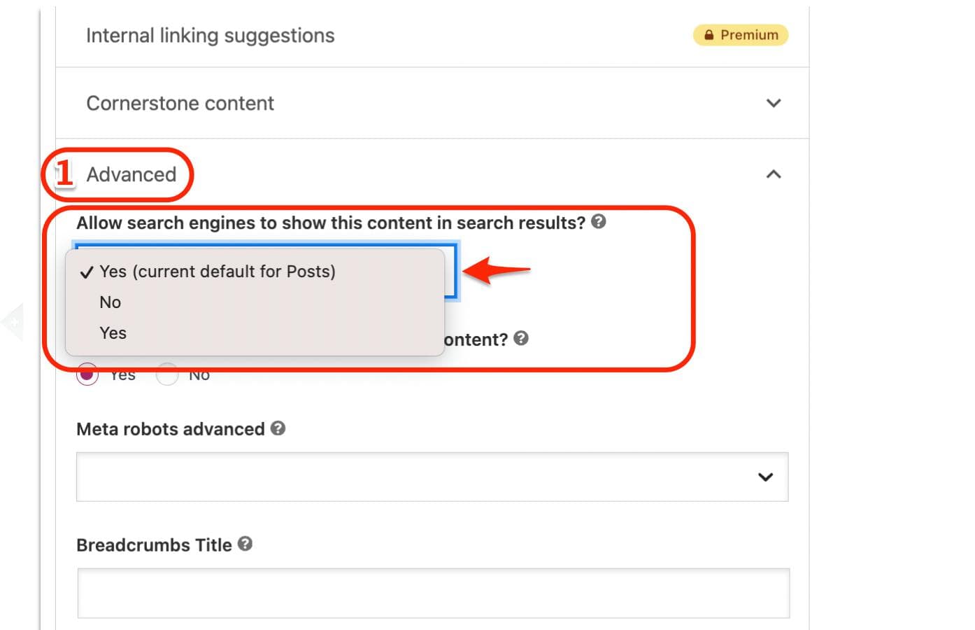 Yoast SEO Advanced panel with a dropdown asking whether search engines may show this content, with Yes ticked